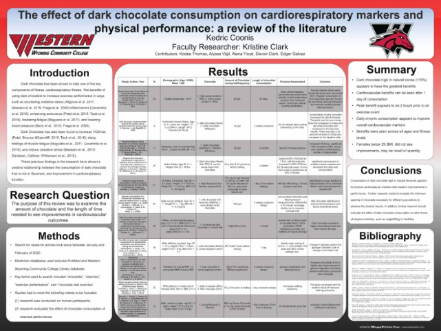 Chocolate Exercise Review poster