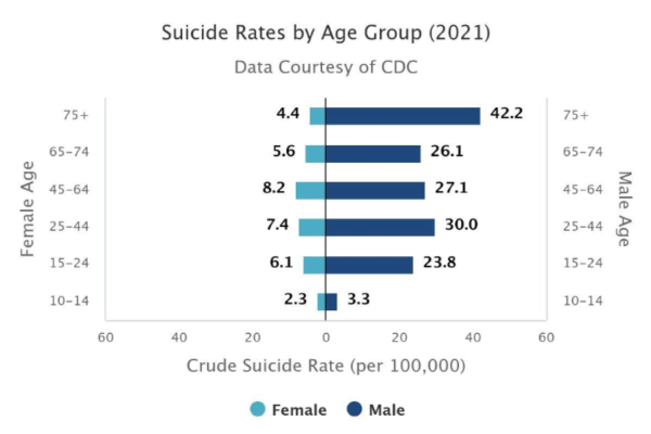 Fig 1. A graph of suicide rates by age group 